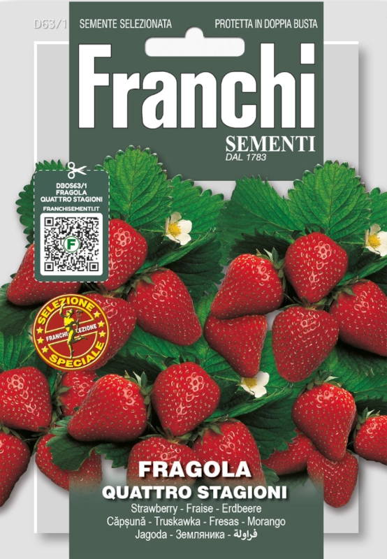 Truskawka Quattro Stagioni nasiona 0,5g FRANCHI sklep rajogrodnika
